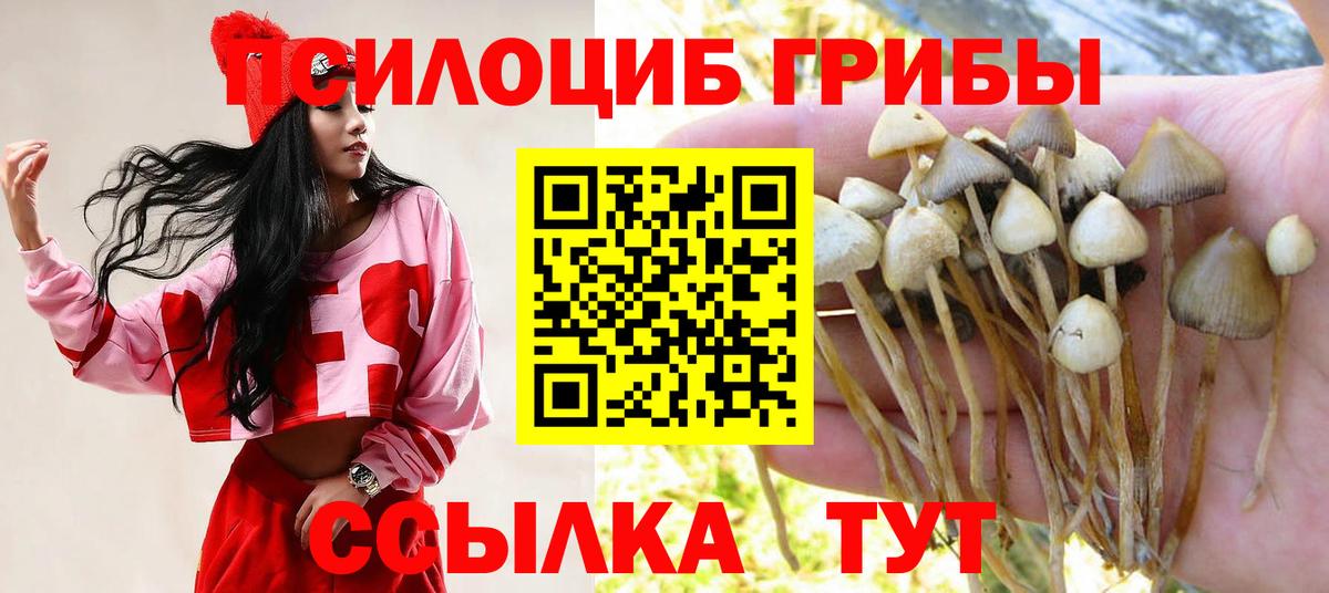 Ейск  Псилоцибиновые грибы прущие грибы  закладки  Вход с VPN 
