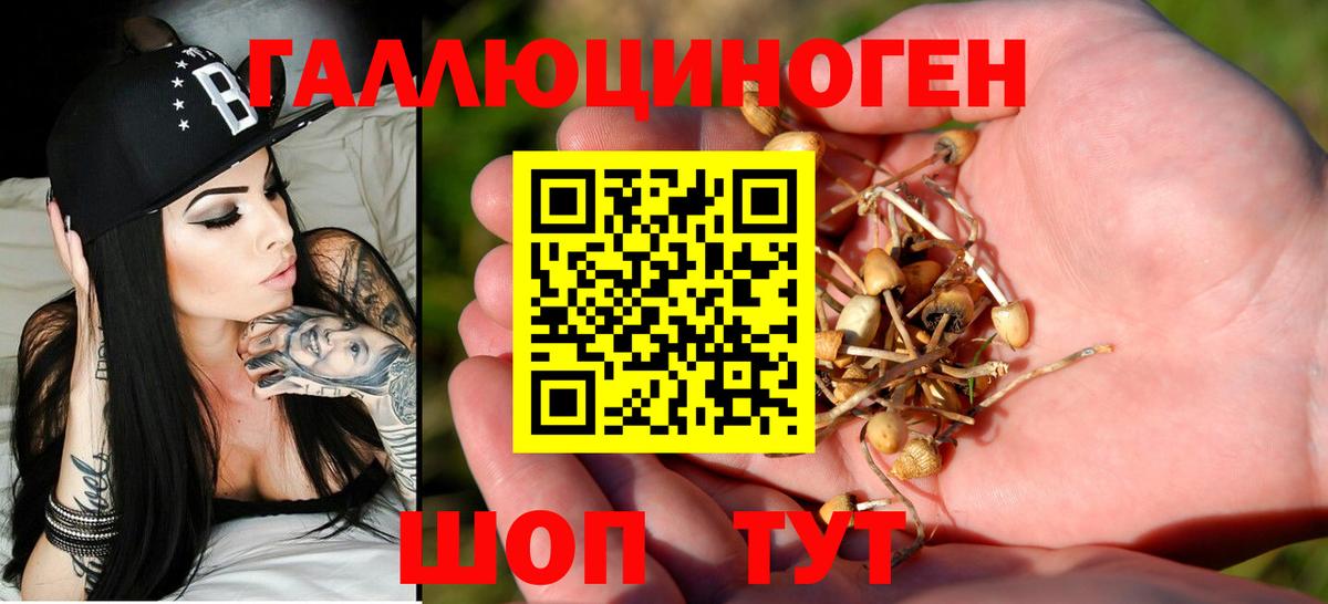 ГАШ Ейск