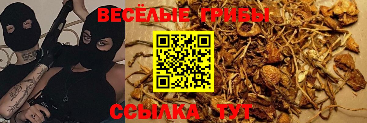 Псилоцибиновые грибы ЛСД Ейск